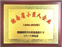 2018-2021湖南省小巨人企业