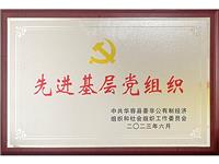 先进基层党组织