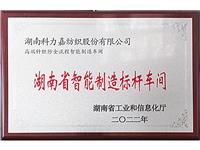 湖南省智能制造标杆车间